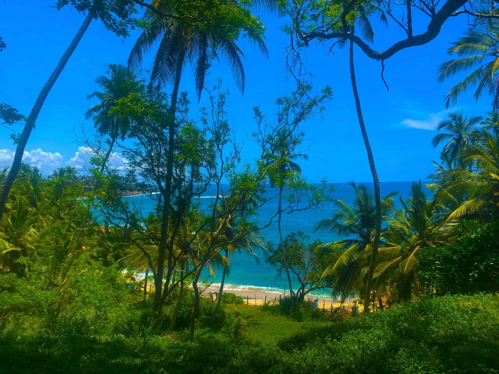 Bluewind Resort Tangalle Eksteriør billede