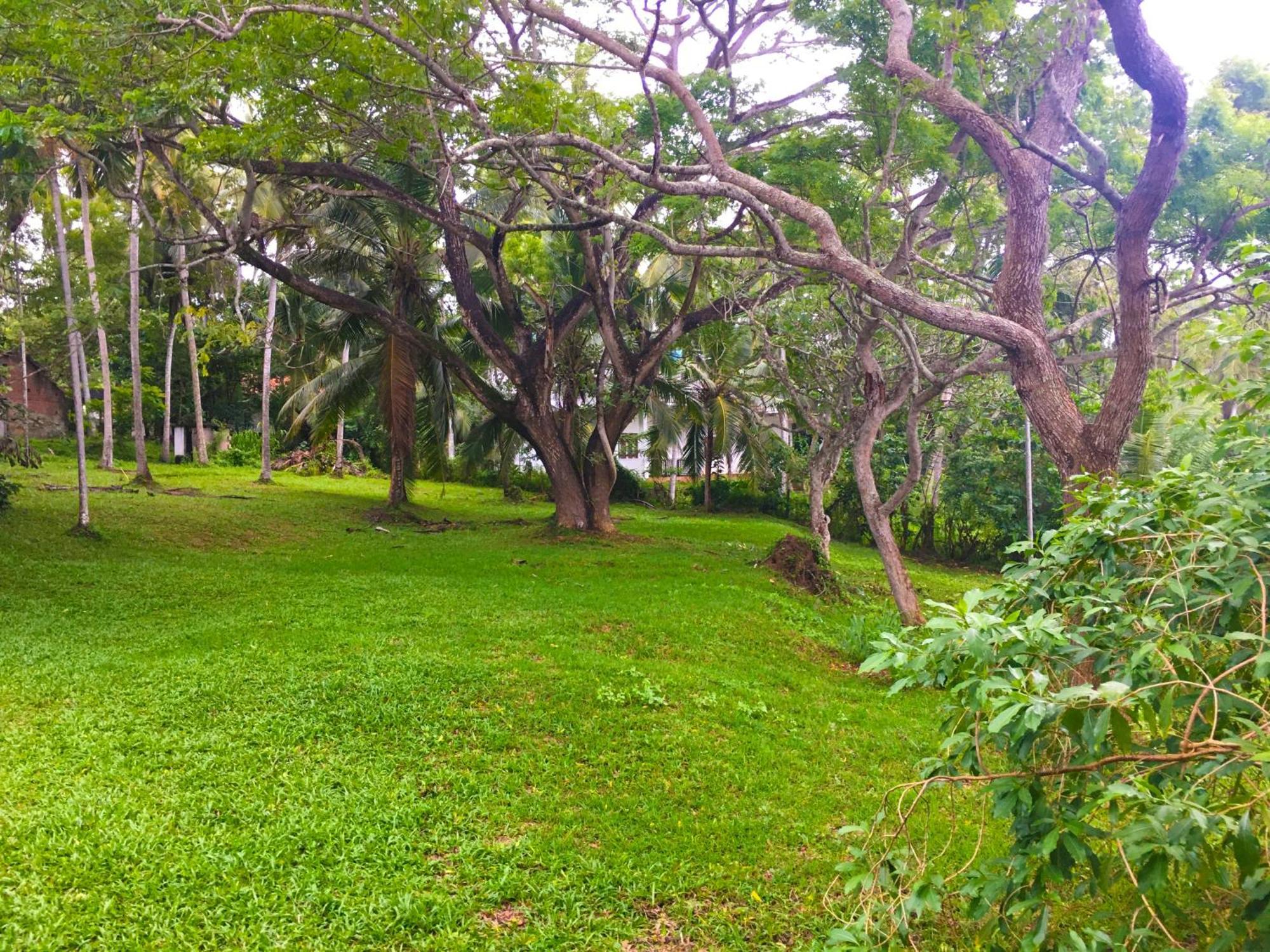 Bluewind Resort Tangalle Eksteriør billede