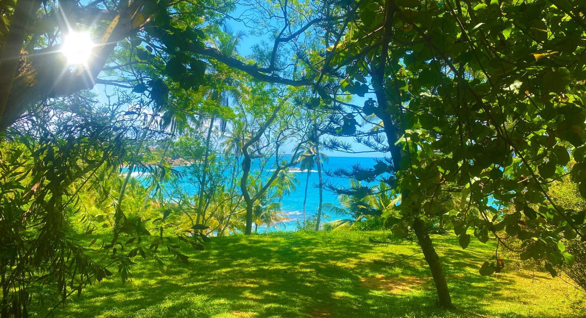 Bluewind Resort Tangalle Eksteriør billede