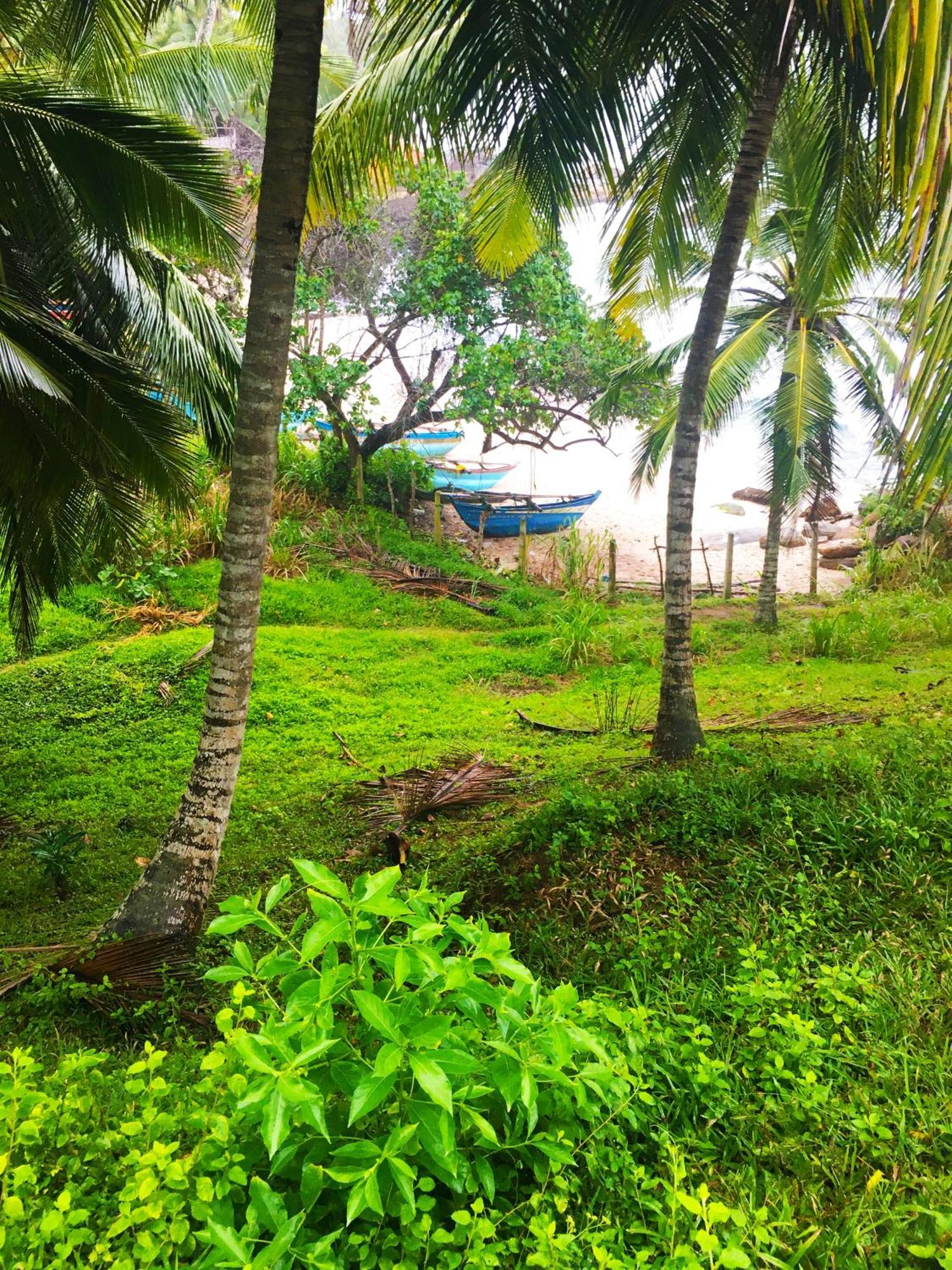 Bluewind Resort Tangalle Eksteriør billede